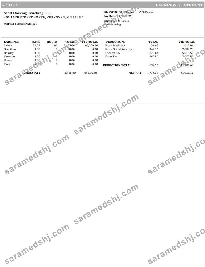 Trucking Company Earnings statement